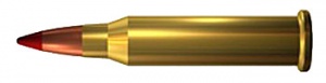 17-Winchester-Super-Magnum.jpg