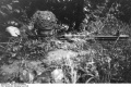 Bundesarchiv Bild 101I-720-0344-09, Frankreich, Fallschirmjäger mit Fallschirmjägergewehr.jpg