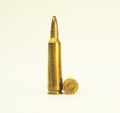 22-250 Remington.JPG