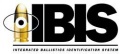 IBIS logo.jpg