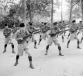 Malay Regiment at bayonet practice.jpg